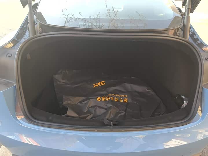 Фото 4 - Tesla Model 3