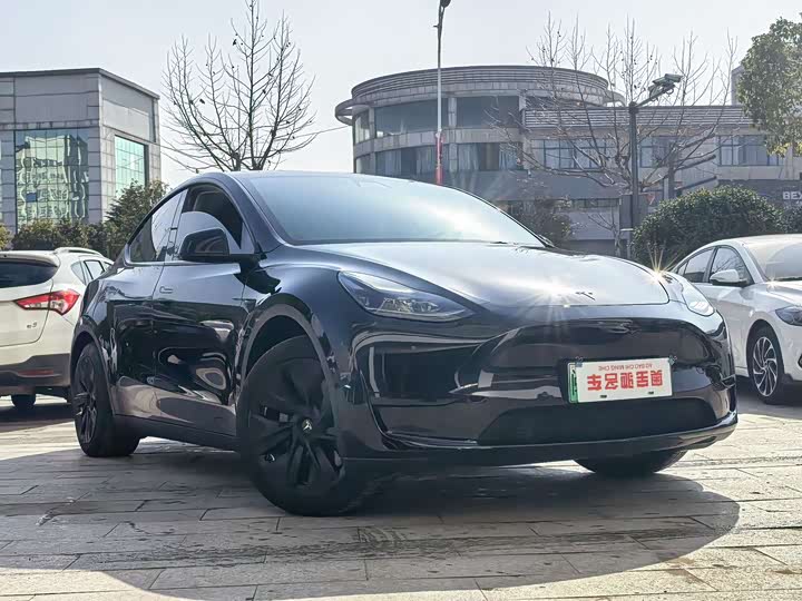 Фото 3 - Tesla Model Y