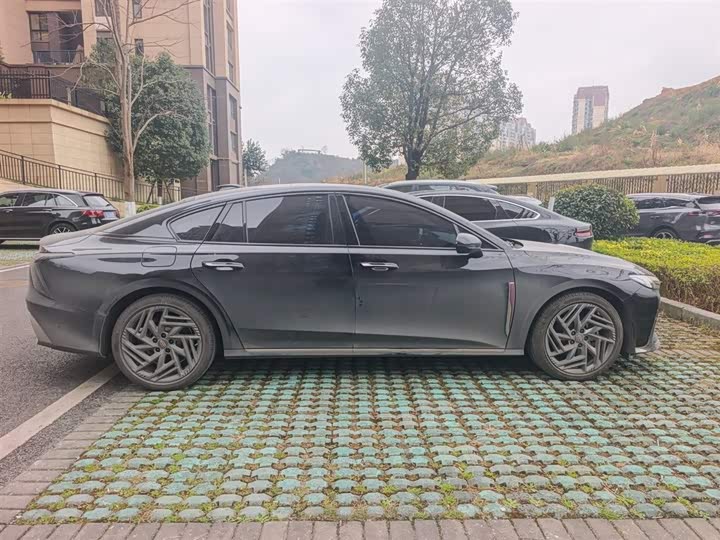 Фото 7 - Hongqi H6