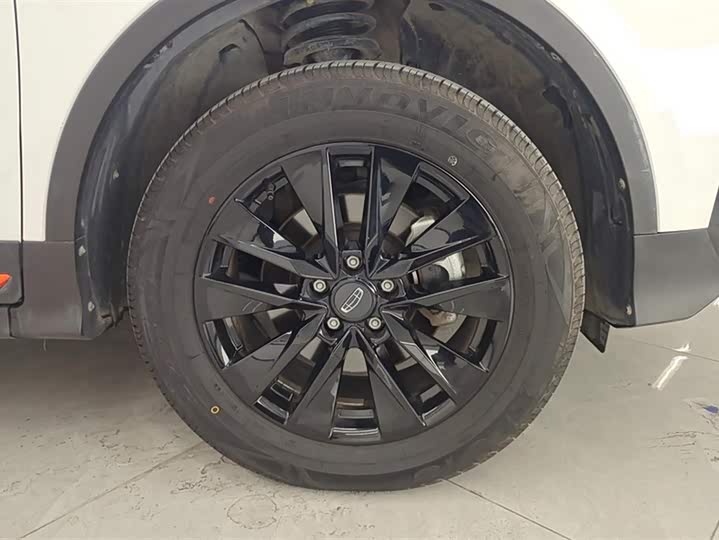 Фото 6 - Geely Atlas