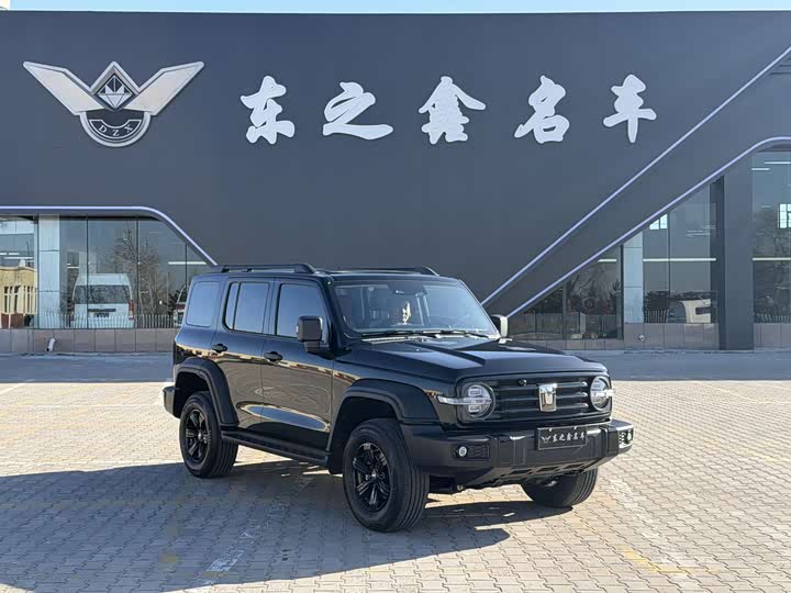 Фото 2 - Tank 300