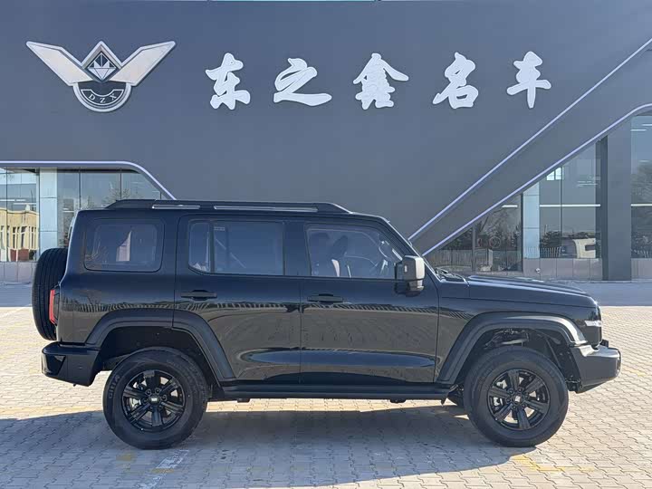 Фото 3 - Tank 300