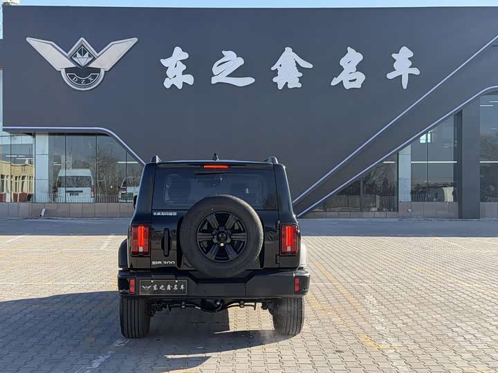 Фото 5 - Tank 300