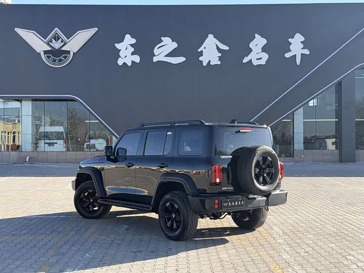 Фото 9 - Tank 300