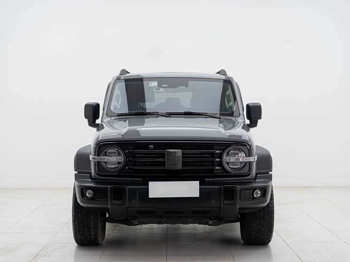 Фото 2 - Tank 300