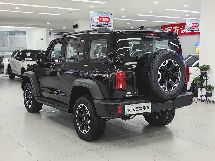 Фото 3 - Tank 300 Hybrid