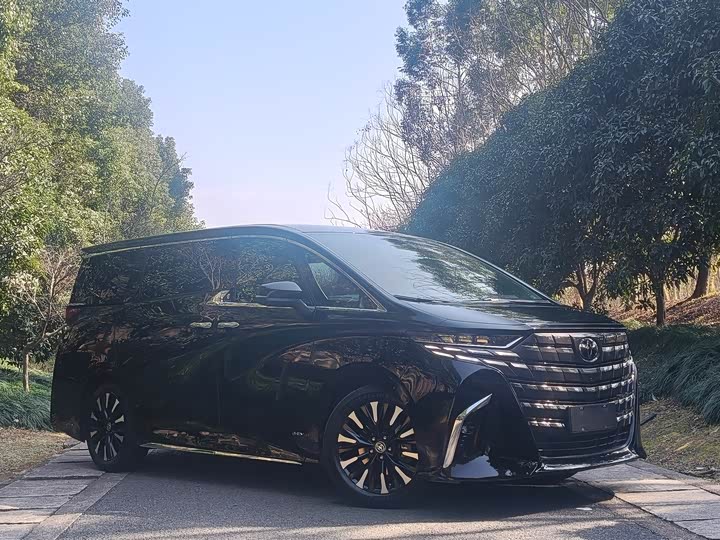 Фото 6 - Toyota Alphard