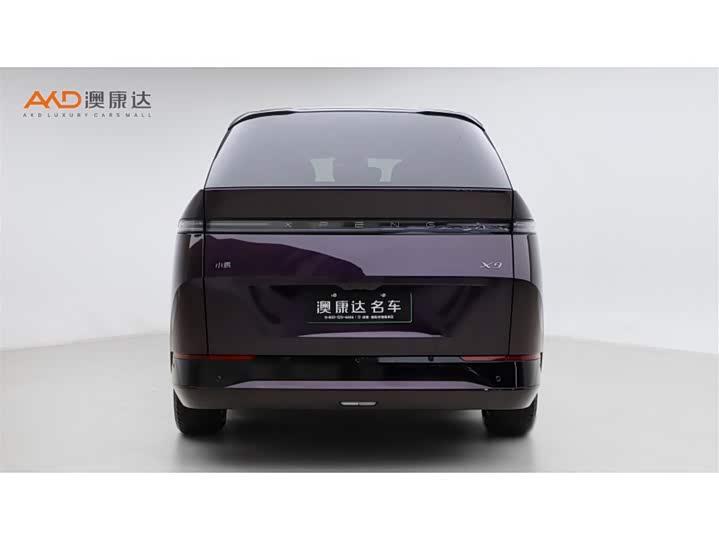 Фото 4 - XPeng X9