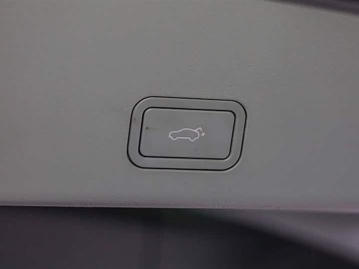 Фото 7 - Volvo EM90