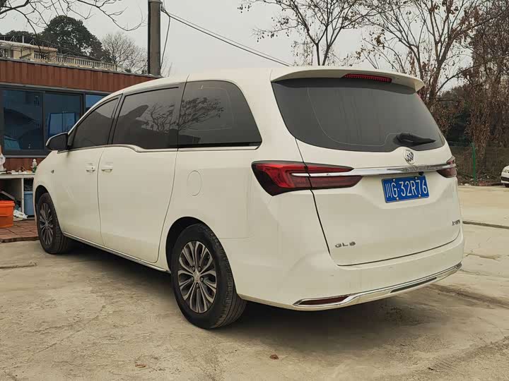 Фото 5 - Buick GL8 ES