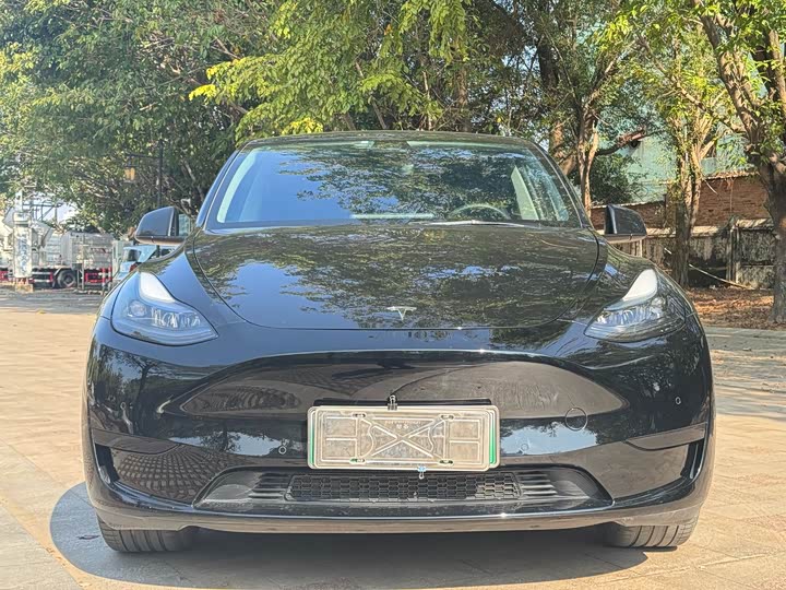 Фото 2 - Tesla Model Y