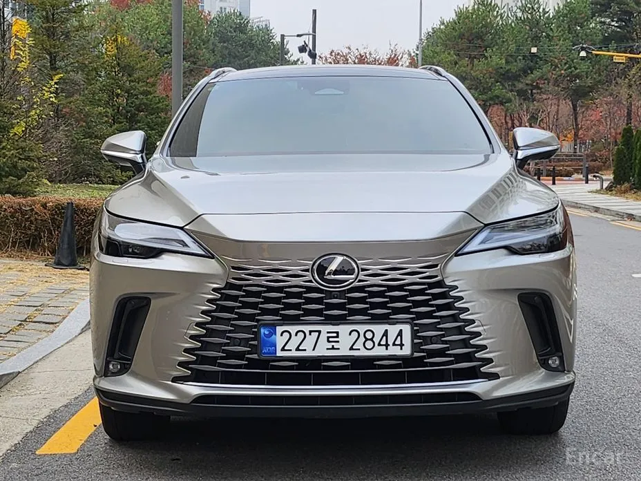 Фото 1 - Lexus RX