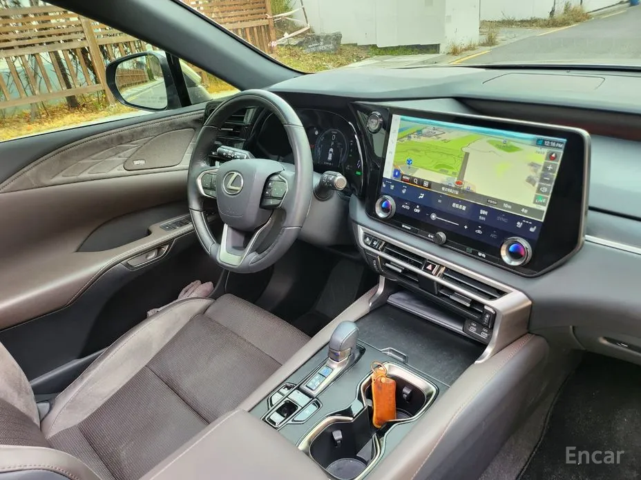 Фото 14 - Lexus RX