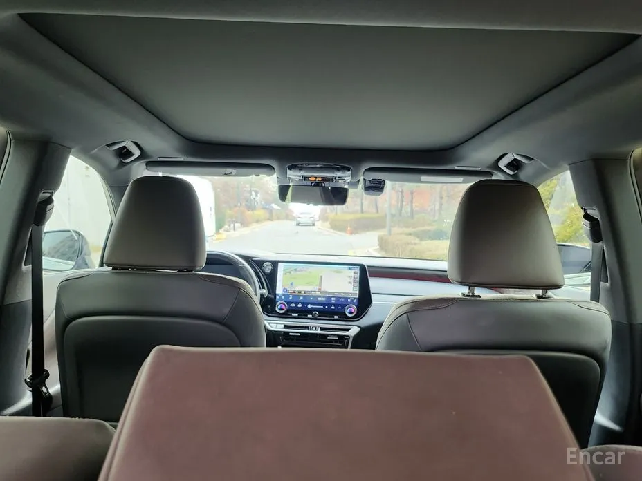 Фото 19 - Lexus RX