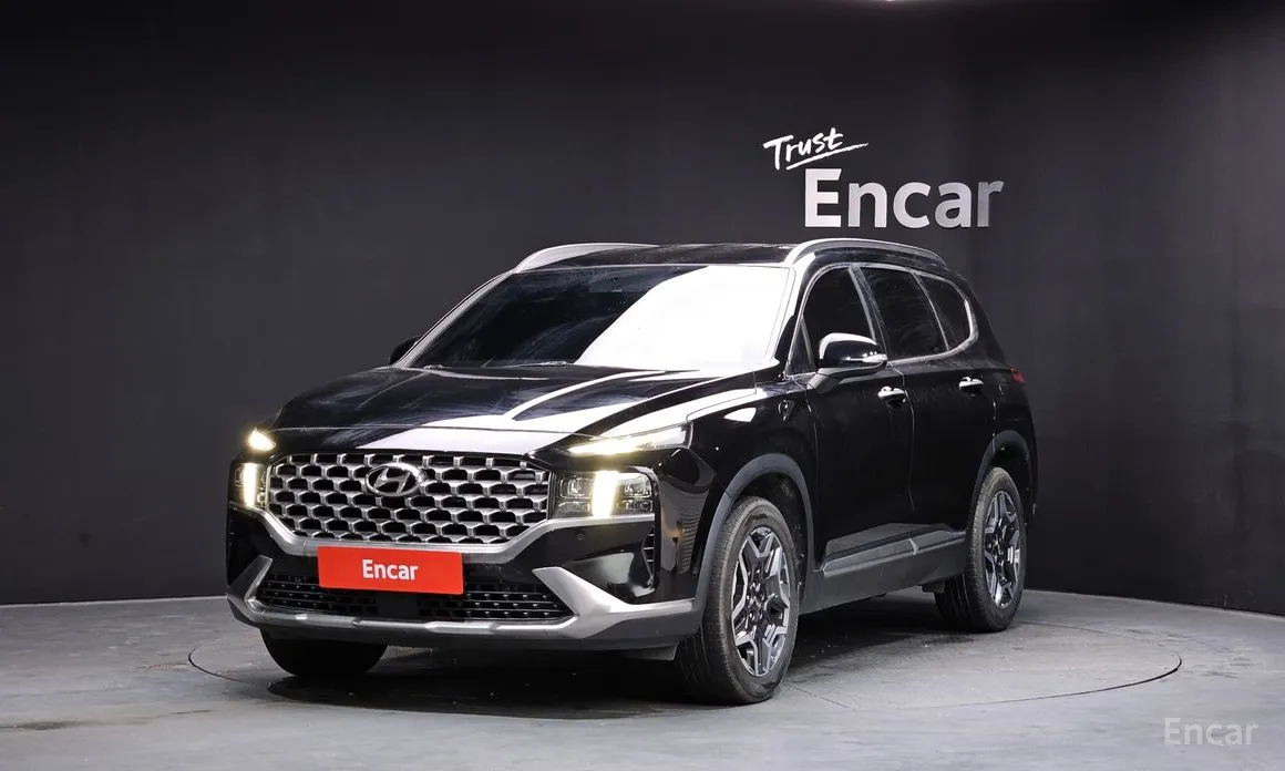 Фото 1 - Hyundai Santa Fe