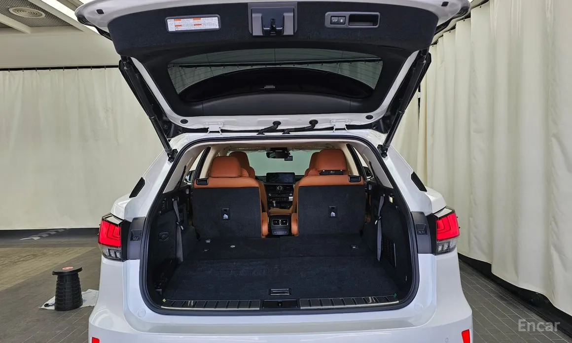 Фото 20 - Lexus RX