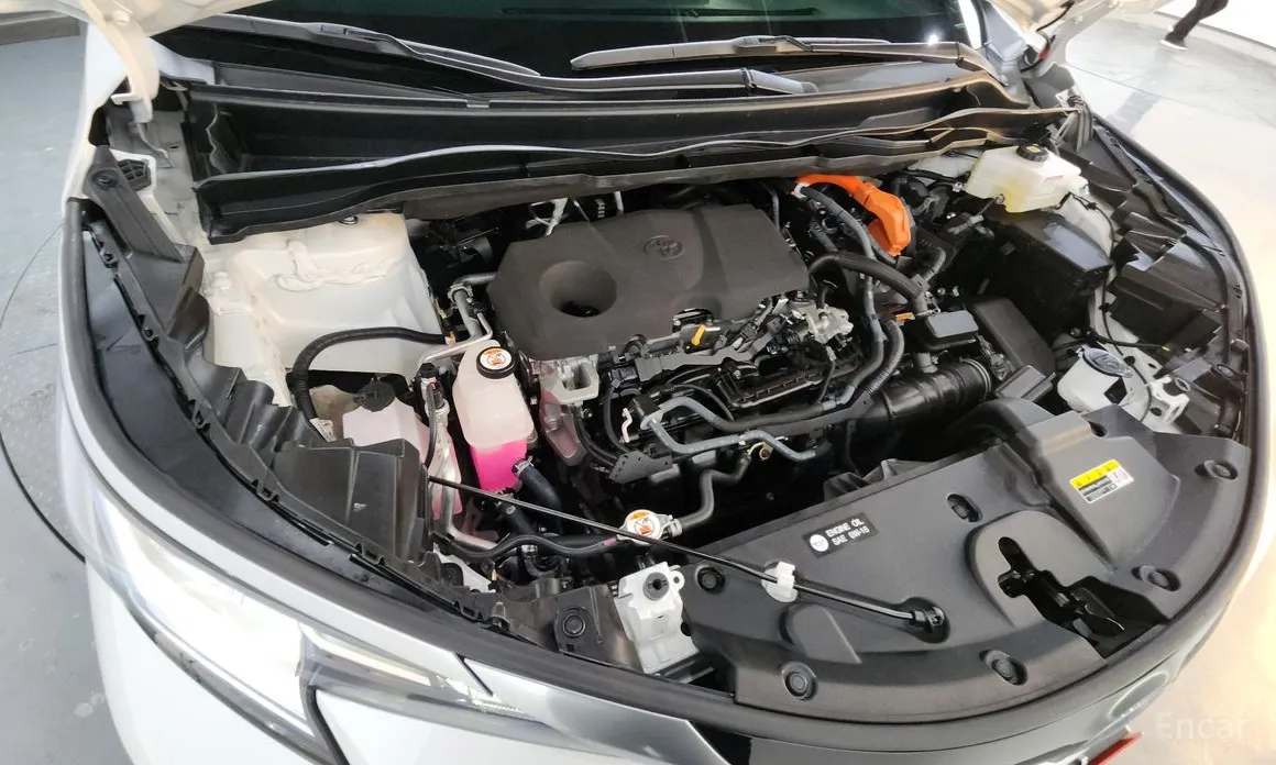 Фото 6 - Toyota Sienna