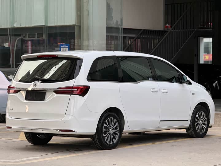 Фото 5 - Buick GL8 ES