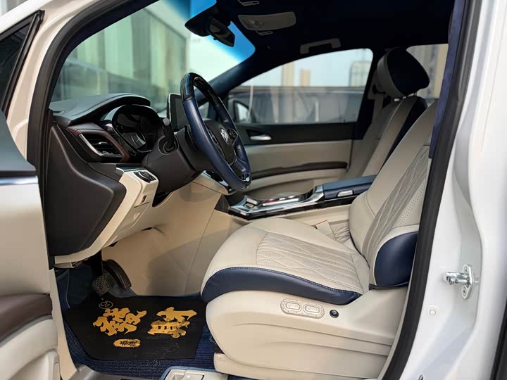 Фото 8 - Buick GL8 ES