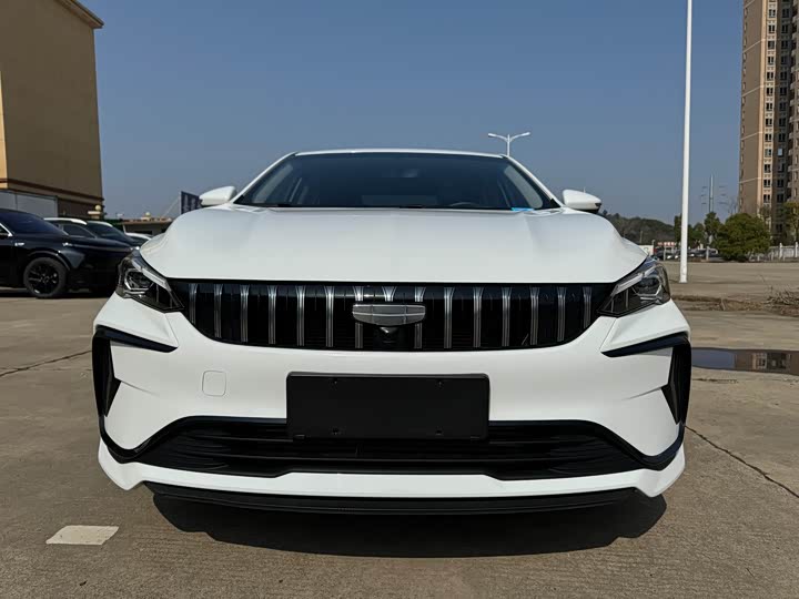 Фото 2 - Geely Binrui