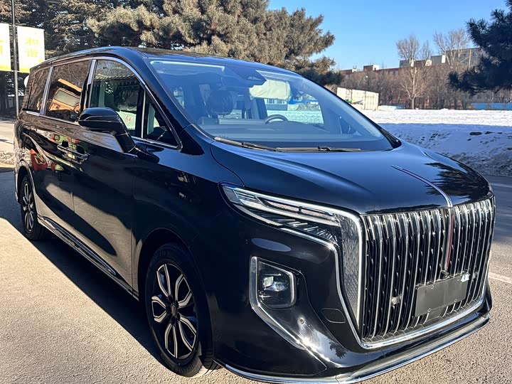 Фото 3 - Hongqi HQ9