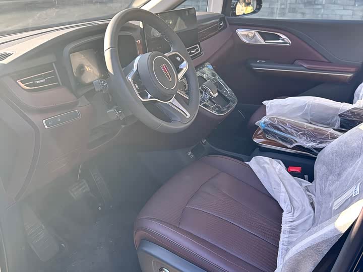 Фото 4 - Hongqi HQ9