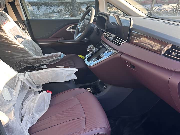 Фото 6 - Hongqi HQ9