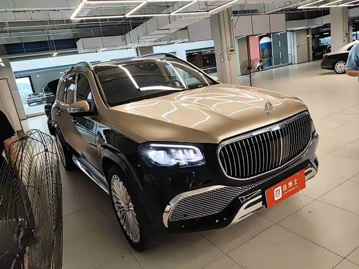 Фото 9 - Mercedes-Benz Maybach GLS