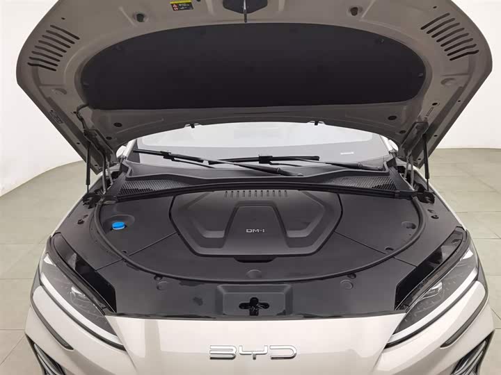 Фото 6 - BYD Song Plus Hybrid/EV