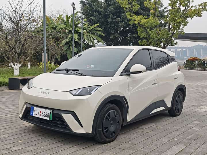 Фото 1 - BYD Seagull