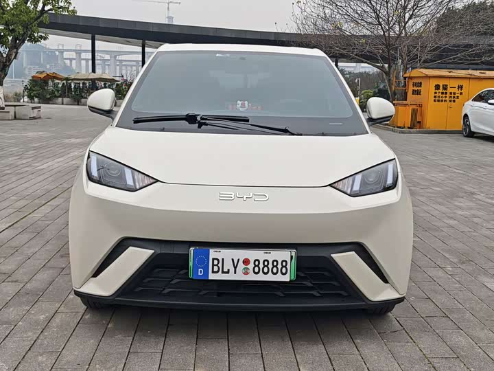 Фото 2 - BYD Seagull