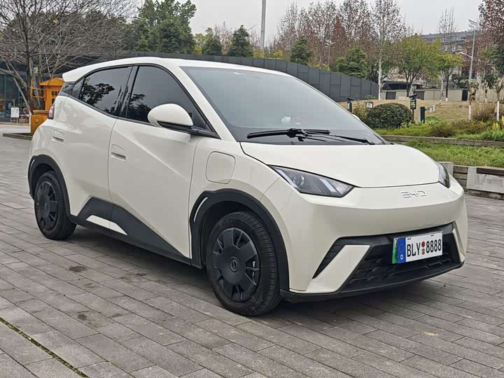 Фото 3 - BYD Seagull