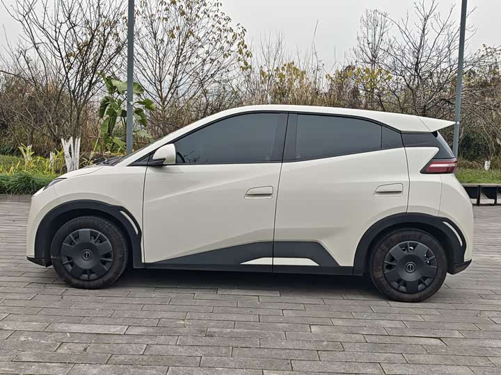 Фото 5 - BYD Seagull