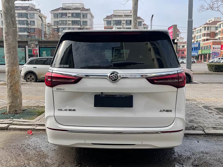 Фото 5 - Buick GL8 ES