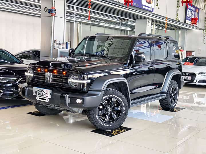 Фото 1 - Tank 300