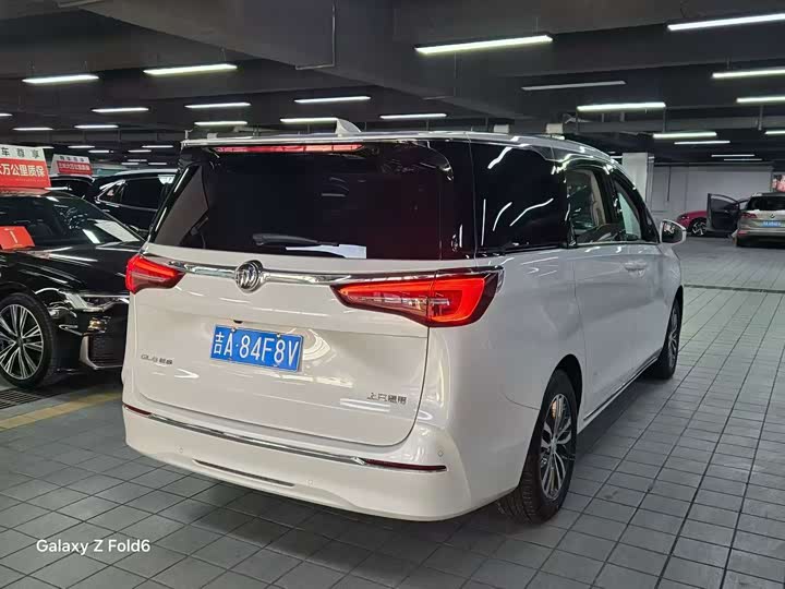 Zdjęcie 7 - Buick GL8 ES