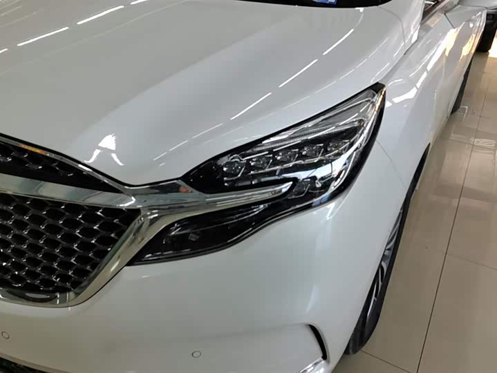 Фото 5 - Buick GL8 ES