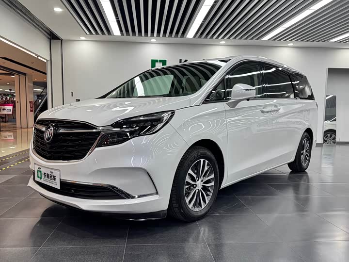 Фото 1 - Buick GL8 ES