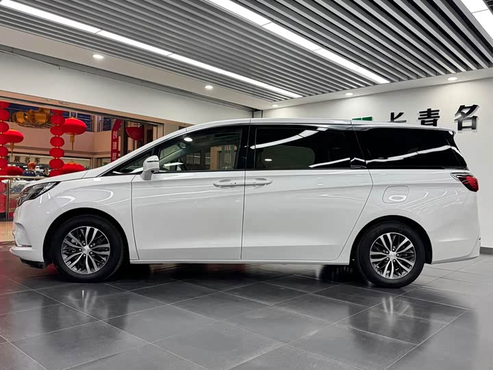 Фото 3 - Buick GL8 ES