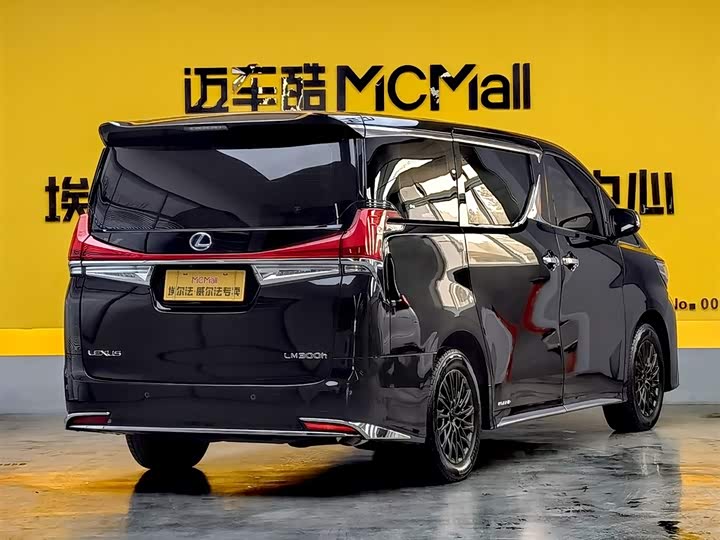 Фото 4 - Lexus LM
