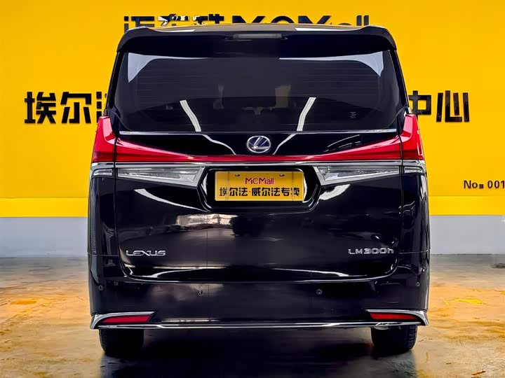 Фото 5 - Lexus LM