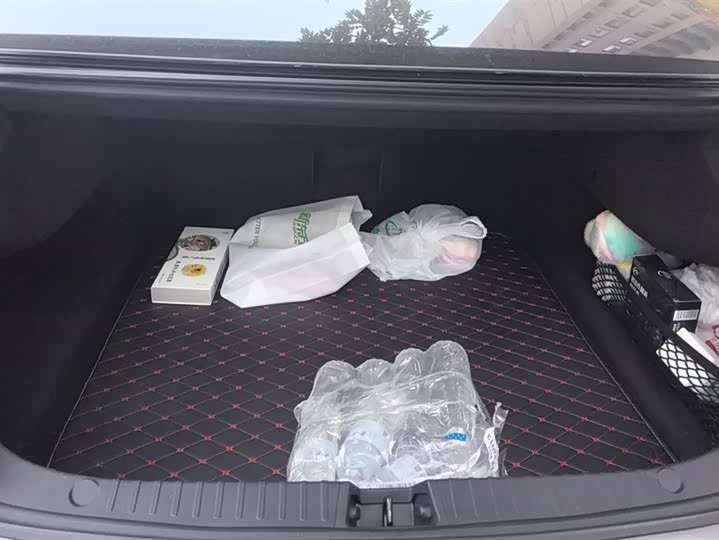 Фото 4 - BYD Han