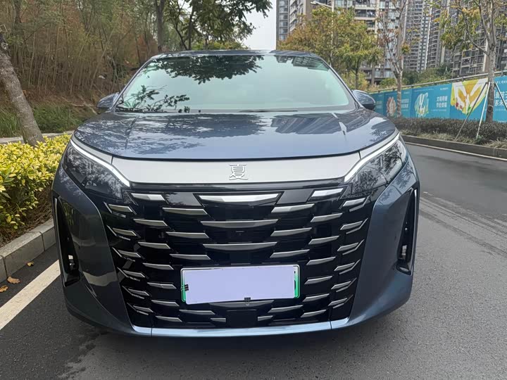 Фото 2 - BYD Xia