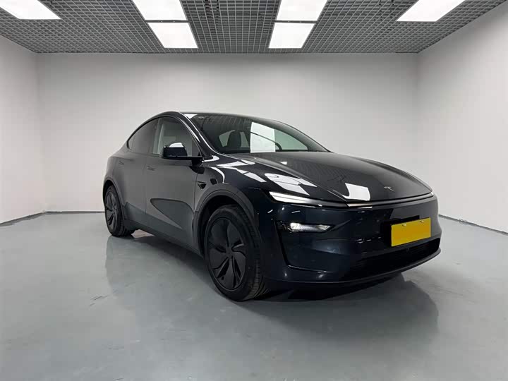 Фото 4 - Tesla Model Y