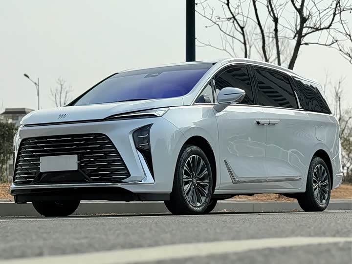 Фото 2 - Buick GL8 ES