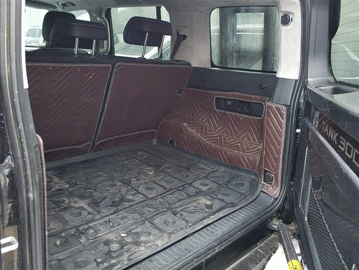 Фото 4 - Tank 300