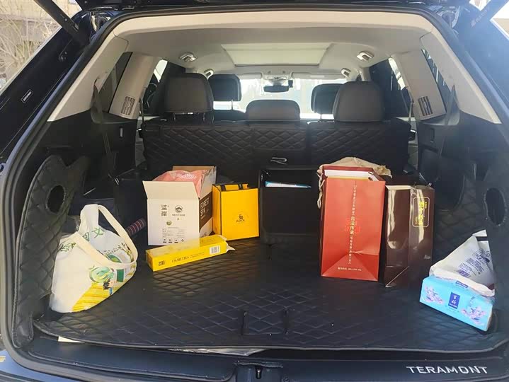 Фото 4 - Volkswagen Teramont Pro