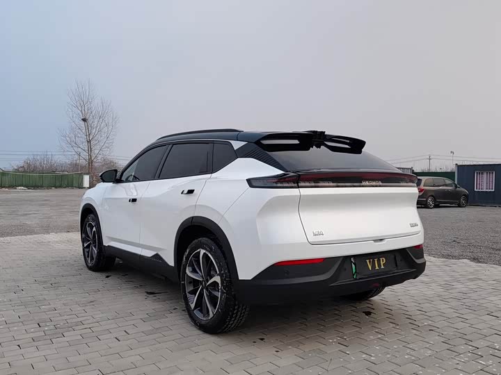 Фото 7 - Hedmos 06