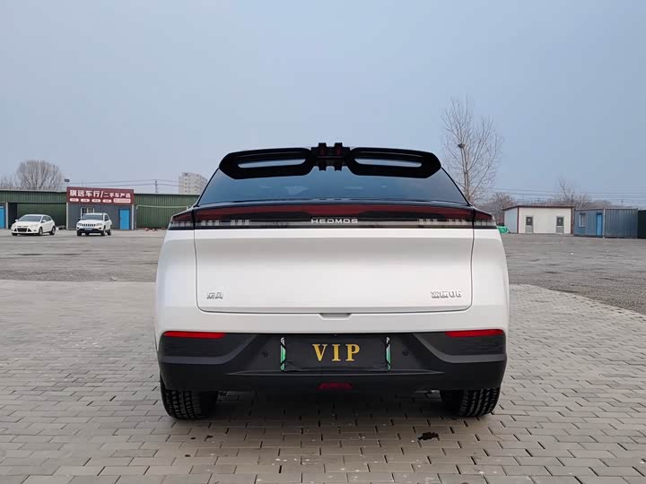 Фото 8 - Hedmos 06