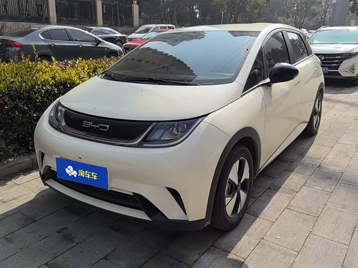 Фото 1 - BYD Dolphin